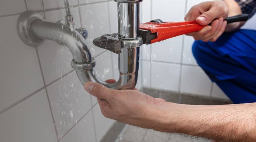Professional Leak Detection services in La Plume, PA